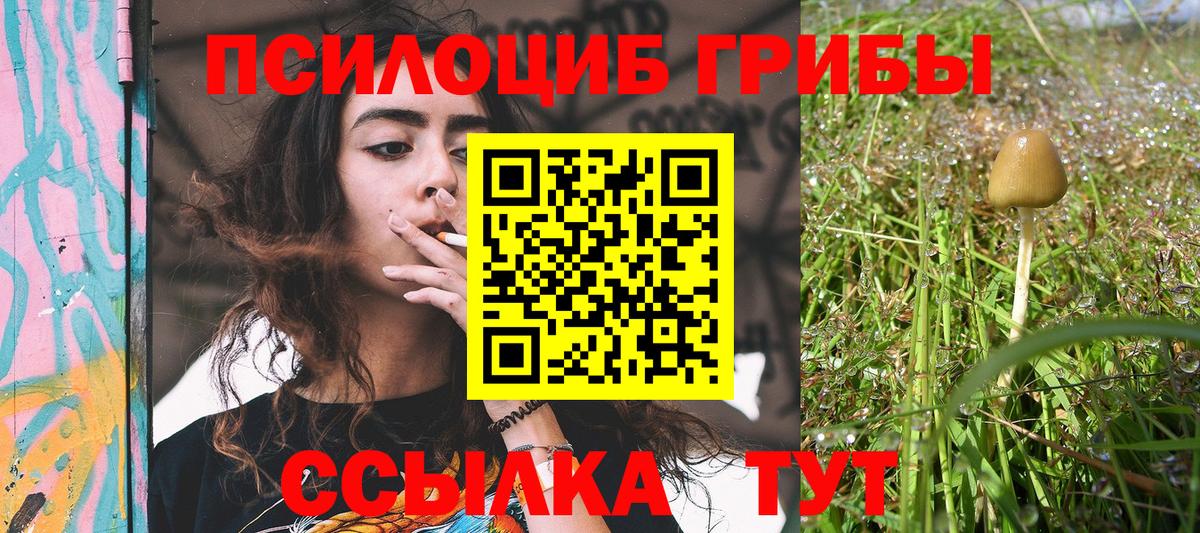 Псилоцибиновые грибы Magic Shrooms  Вход с VPN  Галлюциногенные грибы Cubensis  Уссурийск 