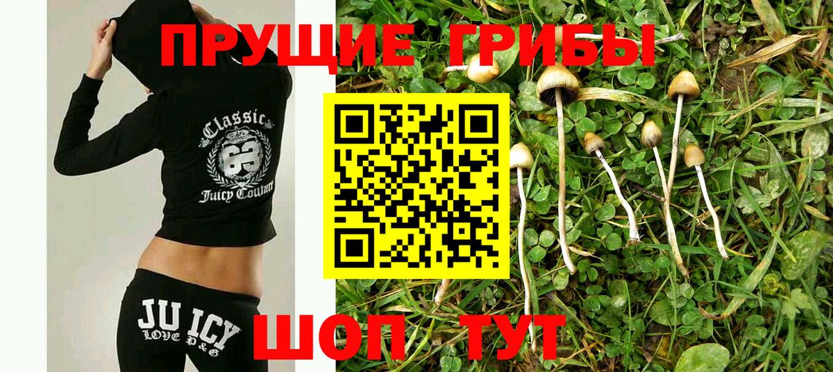 Галлюциногенные грибы мухоморы  Уссурийск 