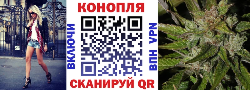 Каннабис конопля  Уссурийск 